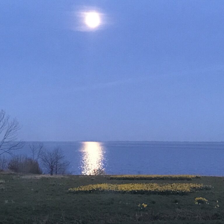 Meerblick während des Abend beim Mondschein